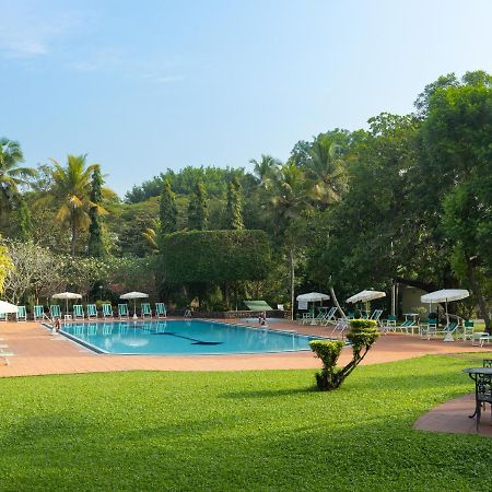 Tamarind Tree Garden Resort - Katunayake Negombo Exterior photo