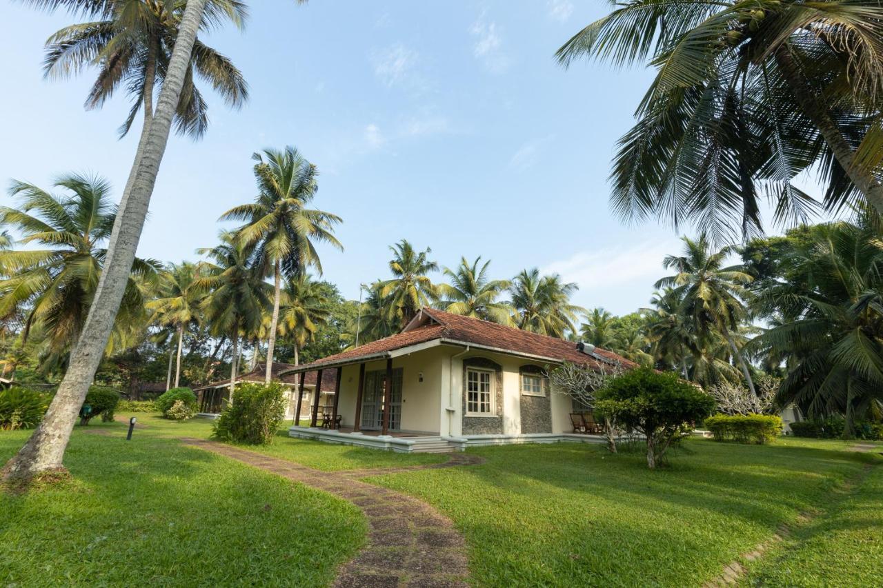 Tamarind Tree Garden Resort - Katunayake Negombo Exterior photo