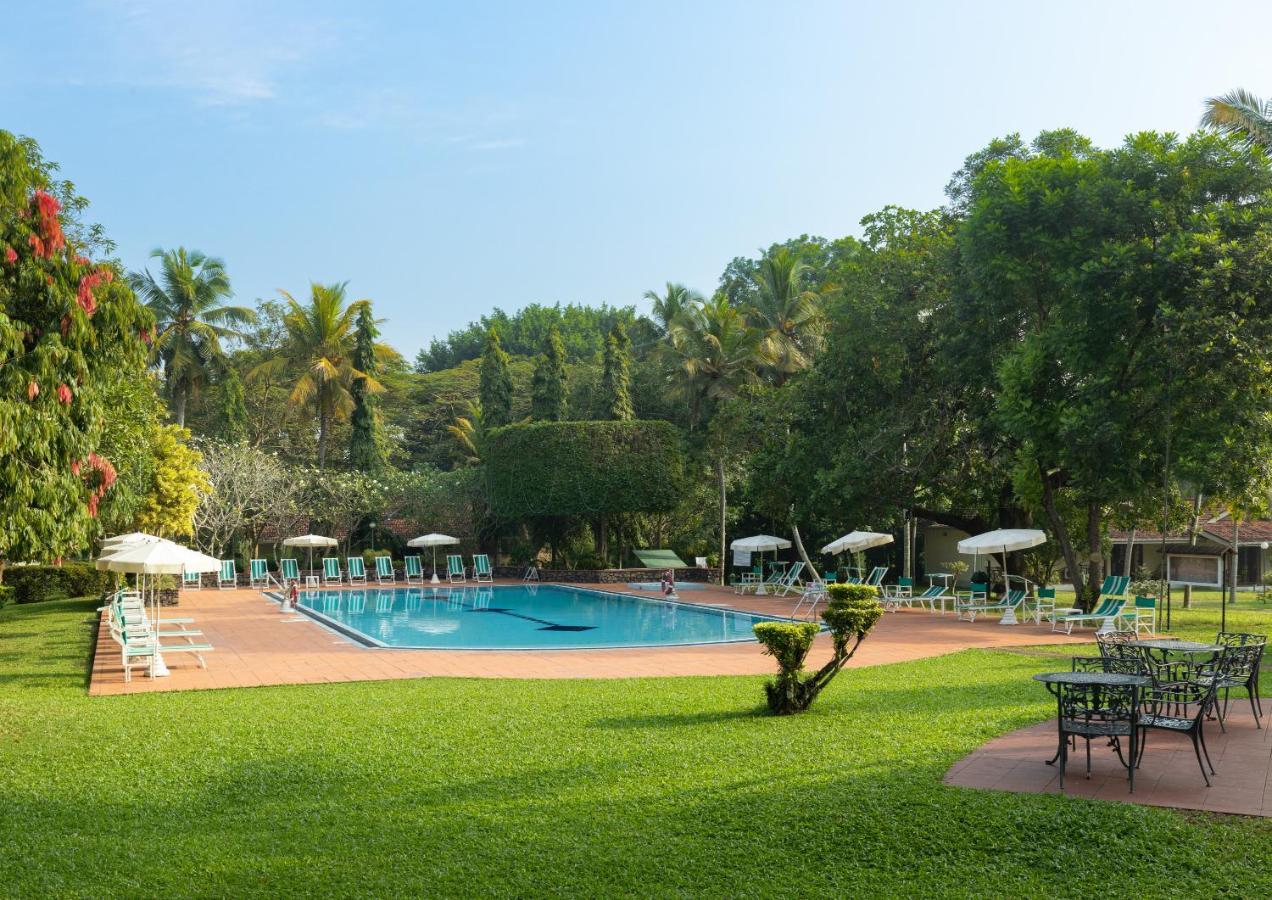 Tamarind Tree Garden Resort - Katunayake Negombo Exterior photo