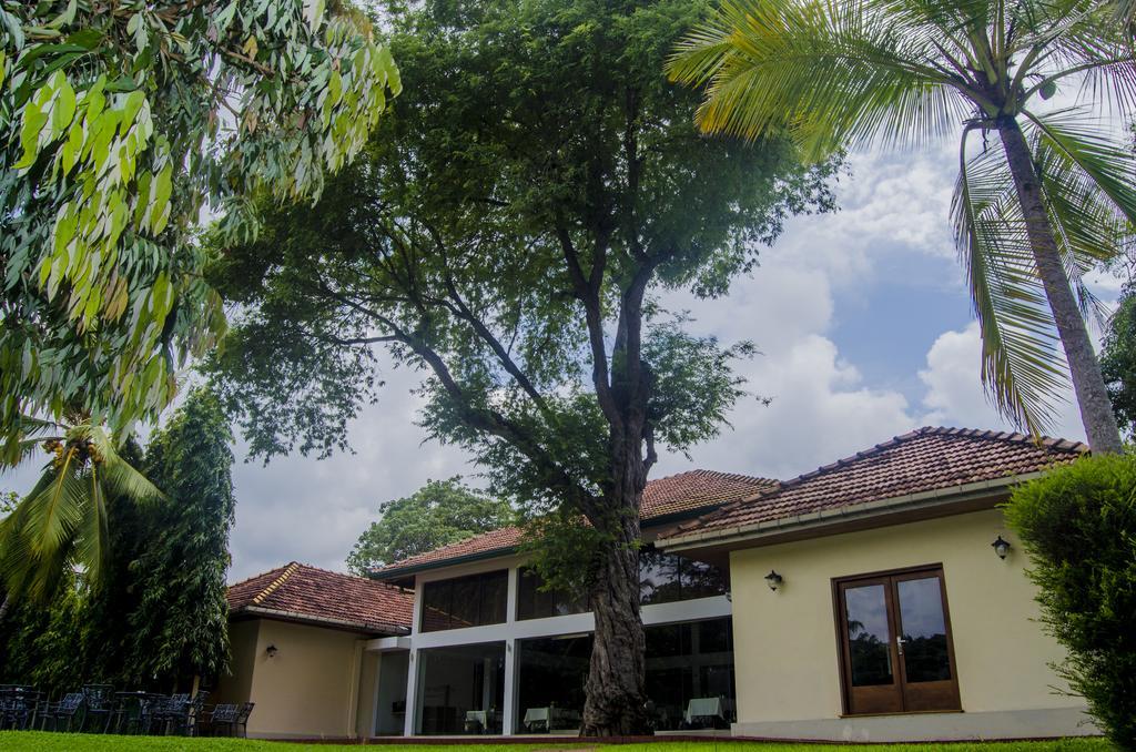 Tamarind Tree Garden Resort - Katunayake Negombo Exterior photo